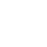 maison blanche icone