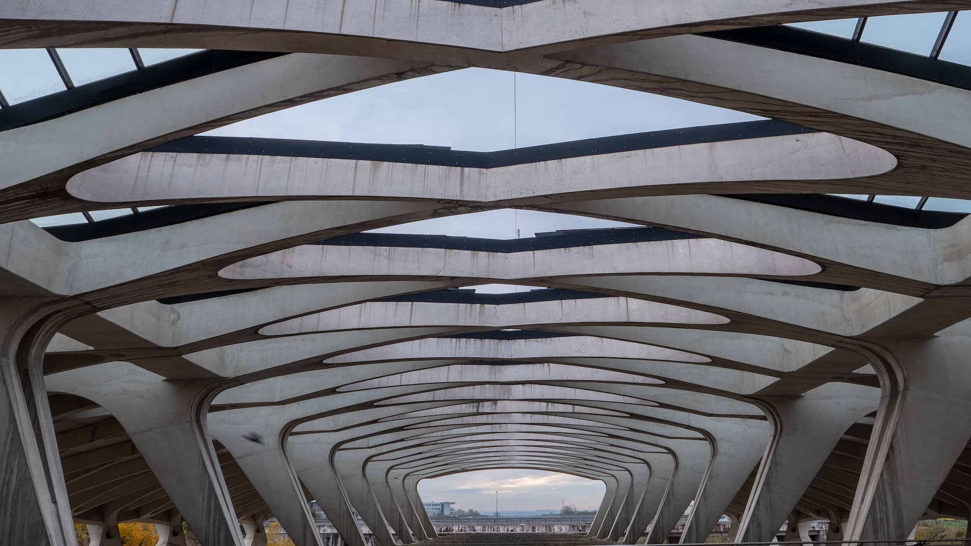 Santiago Calatrava et la Gare de Lyon Saint-Exupéry