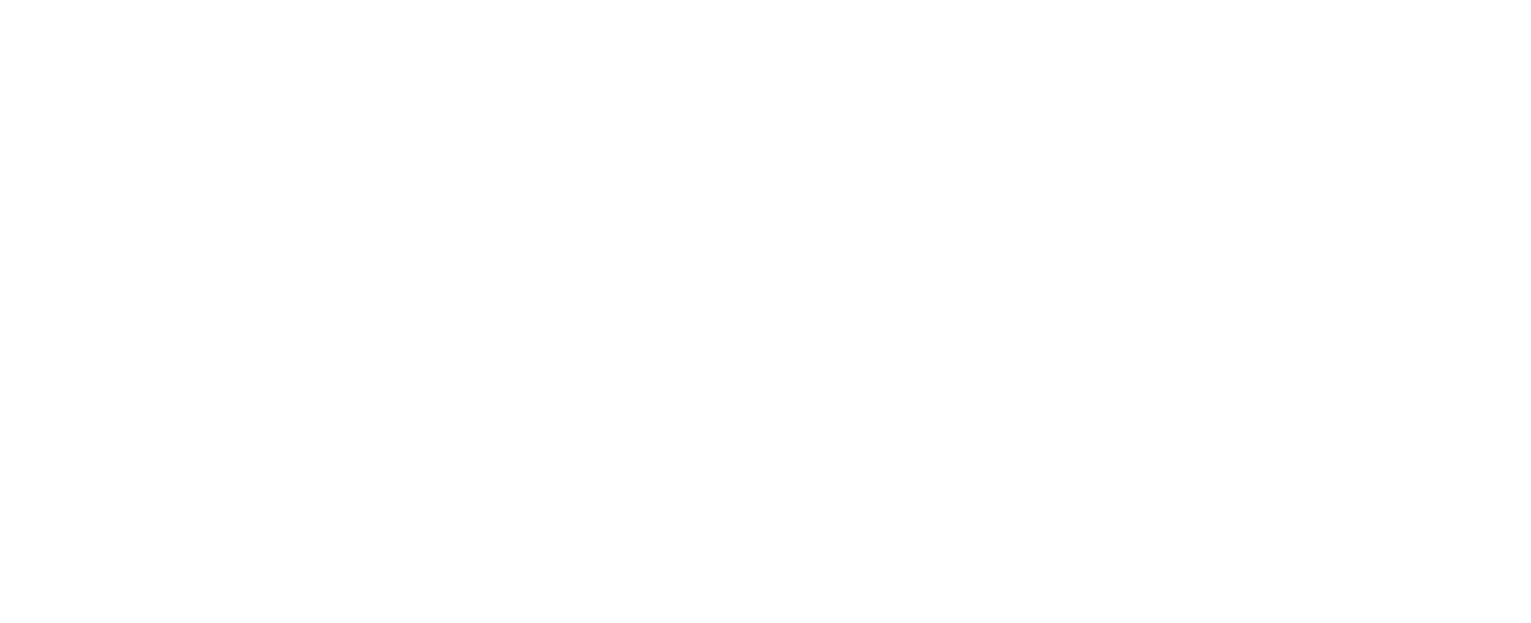 logo Access