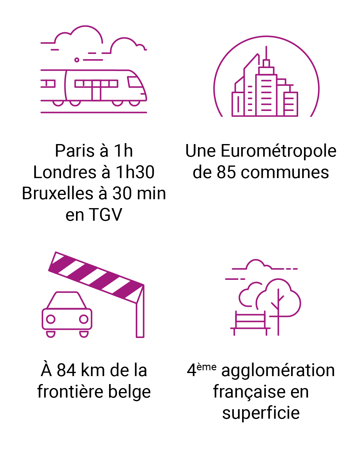 Lille : un choix éclairé pour votre projet immobilier dans le neuf