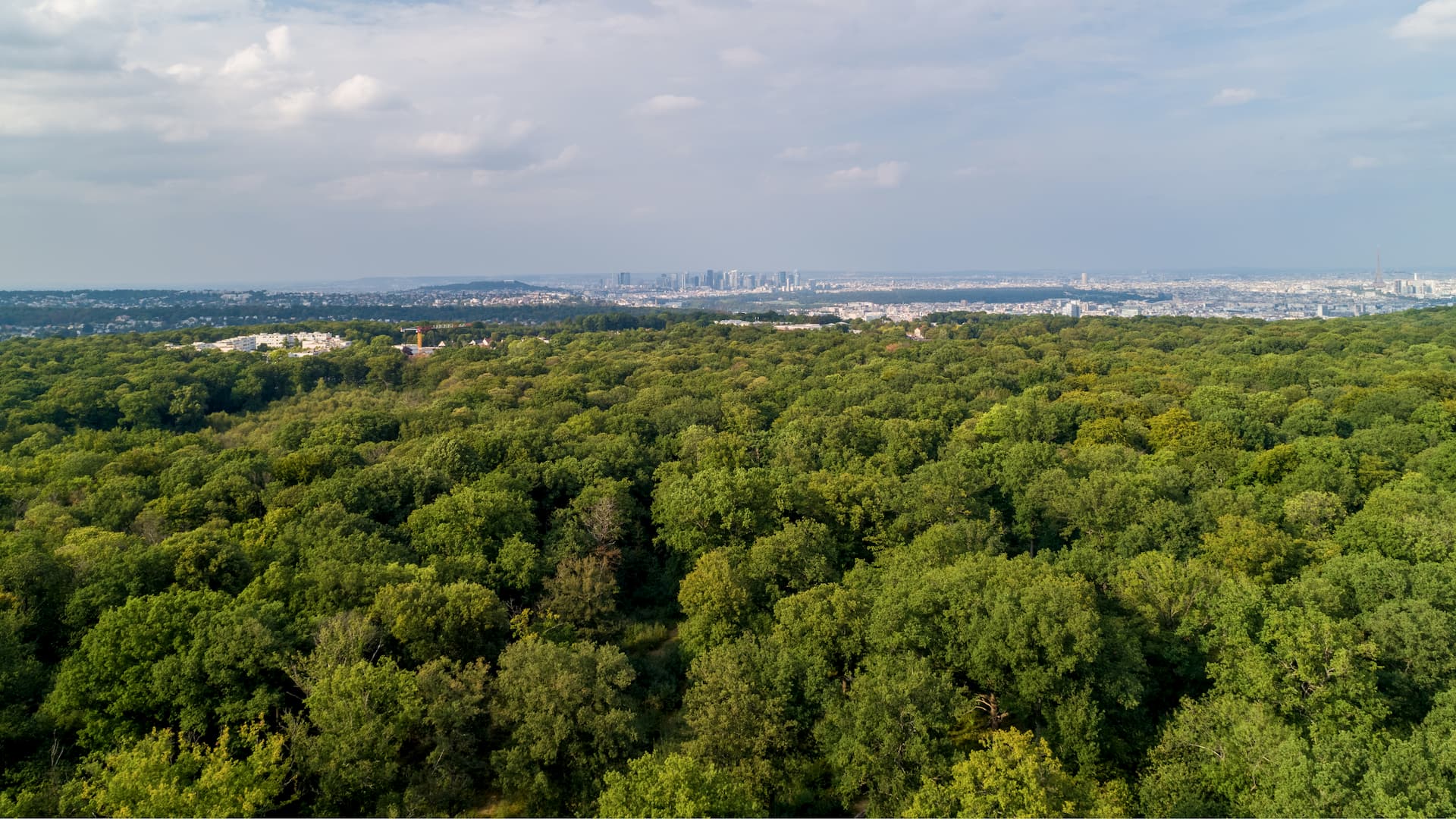 Les opportunités d’un Grand Paris en pleine mutation - 2